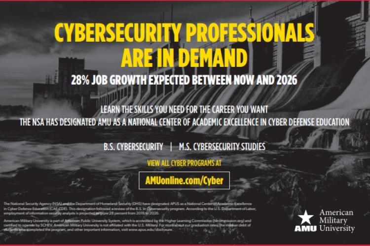 Cyber Security Professional